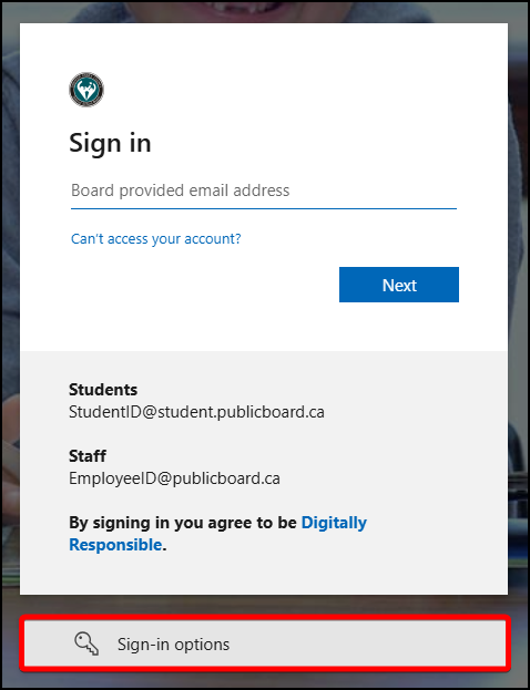 Sign-in options at the bottom of the screen Sign-in options at the bottom of the screen