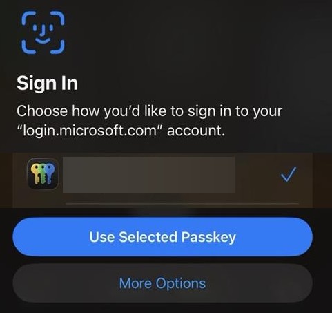 Tap Use Selected Passkey and authenticate Tap Use Selected Passkey and authenticate