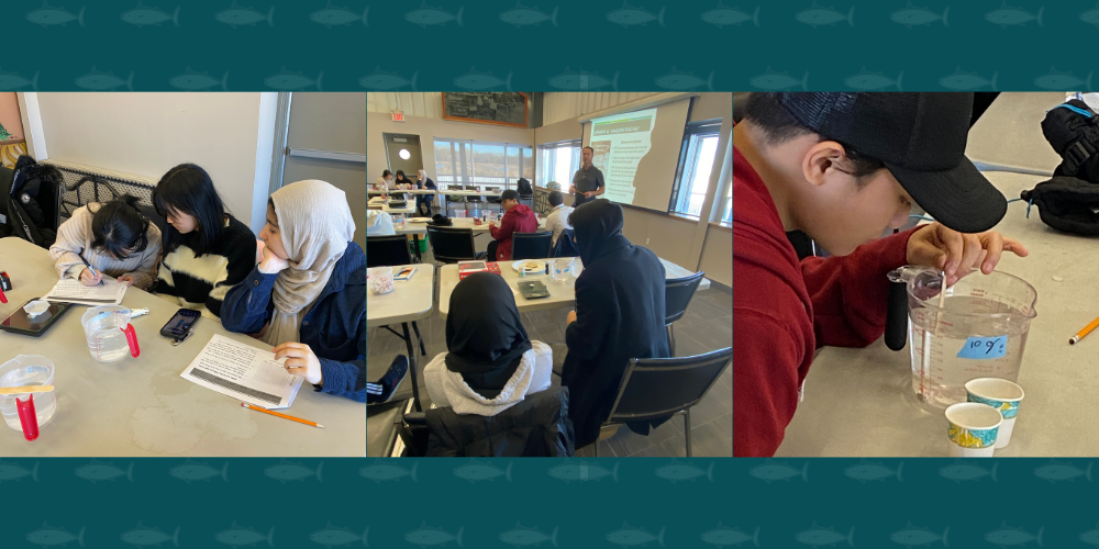 Students at the Freshwater Restoration Ecology Centre