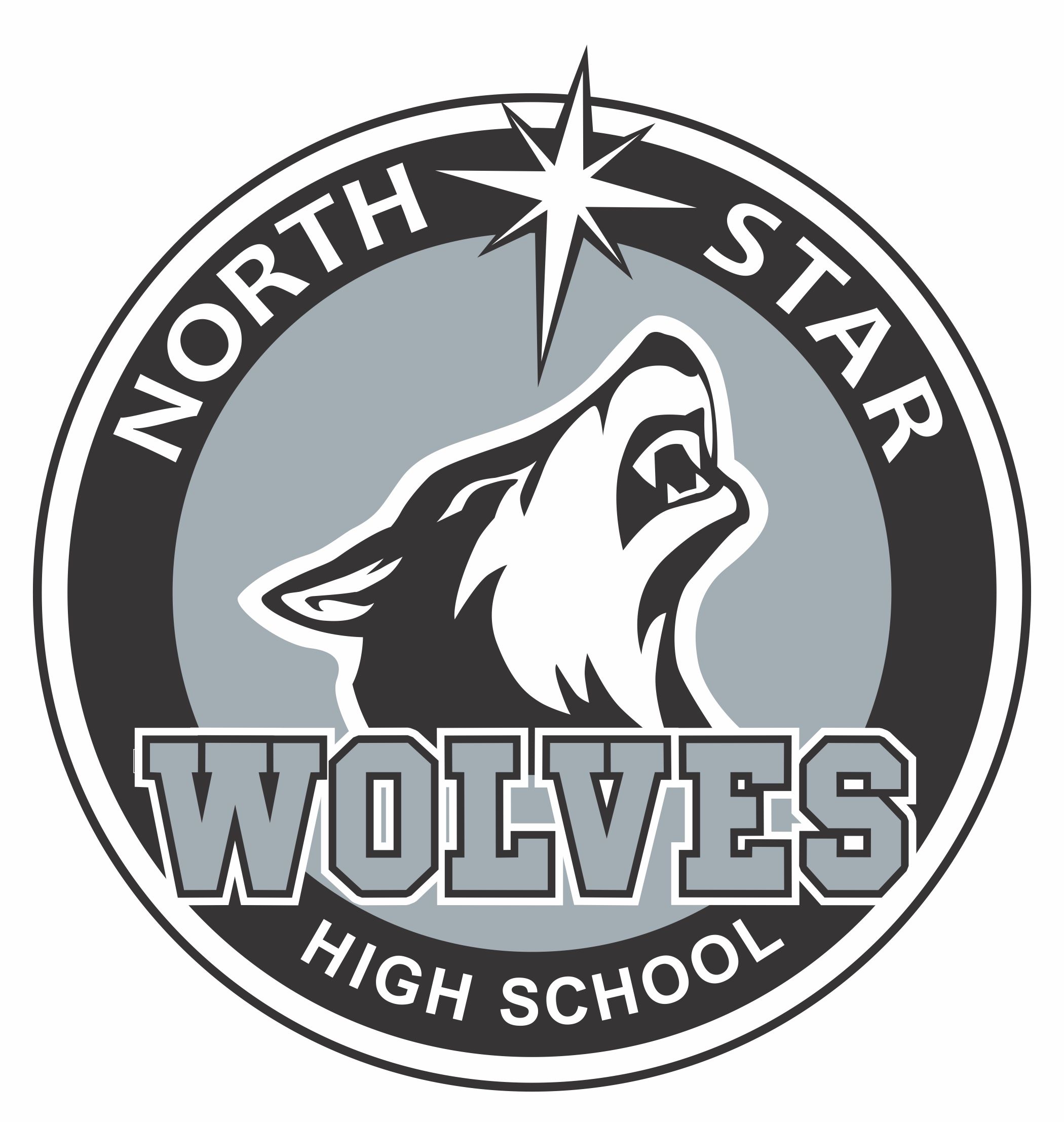 North Star Logo