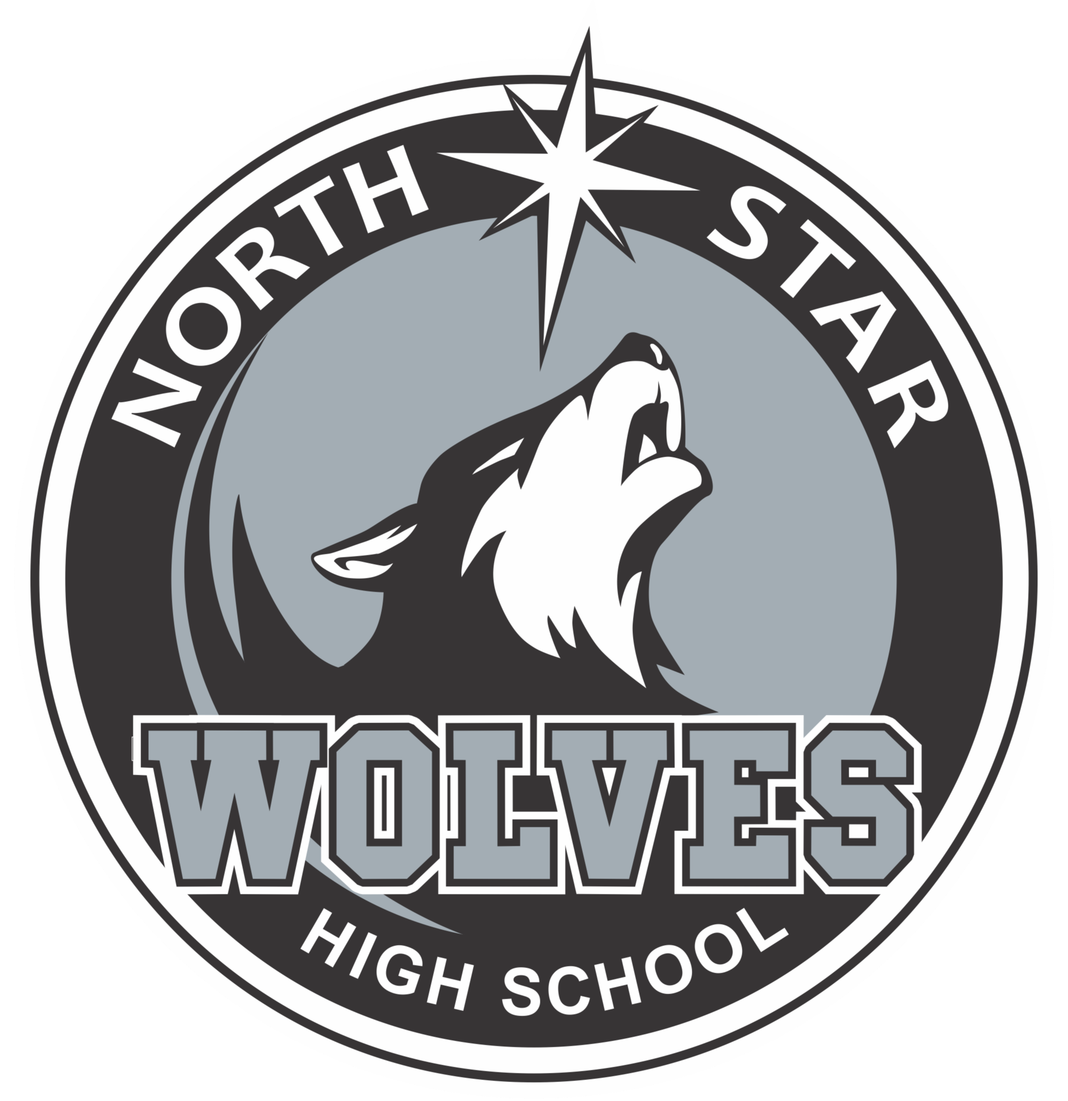 North Star High School footer logo