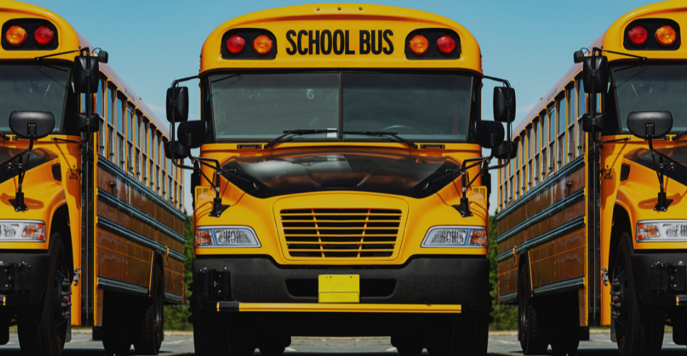 Three school buses lined up next to one another