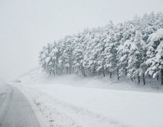 Extreme Weather Events