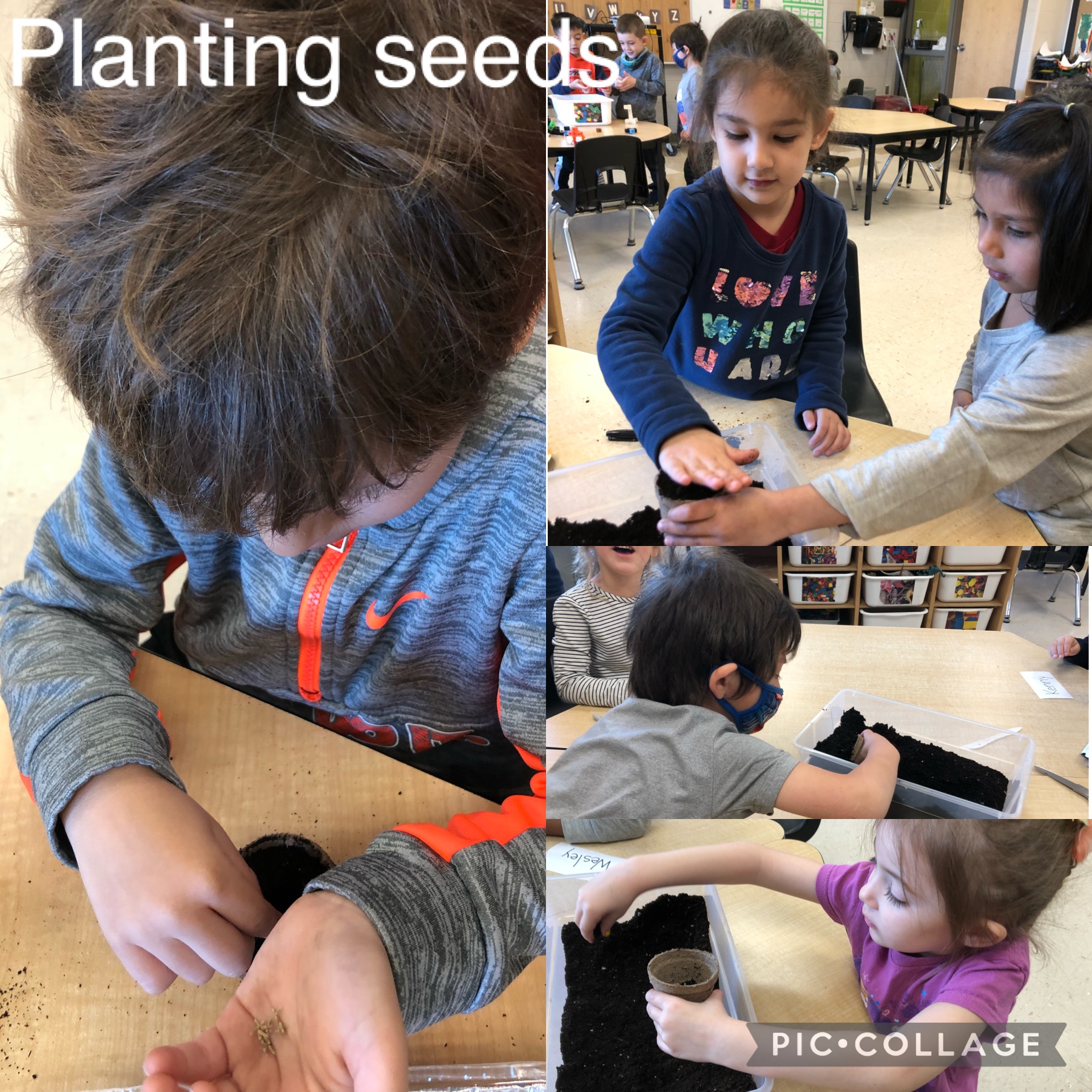 Kids planting some seeds