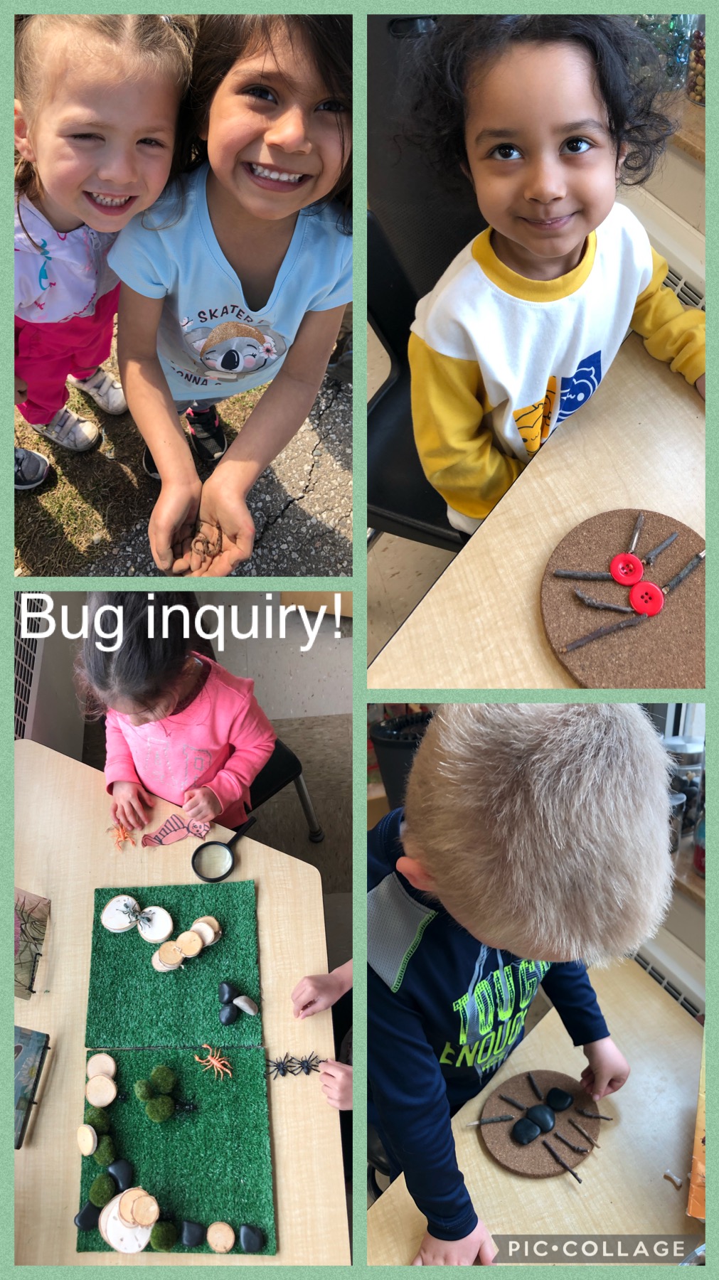 Kindergarten children investigating bugs for science inquiry